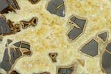 Calcite Filled Septarian Bookends - Utah #149922-2